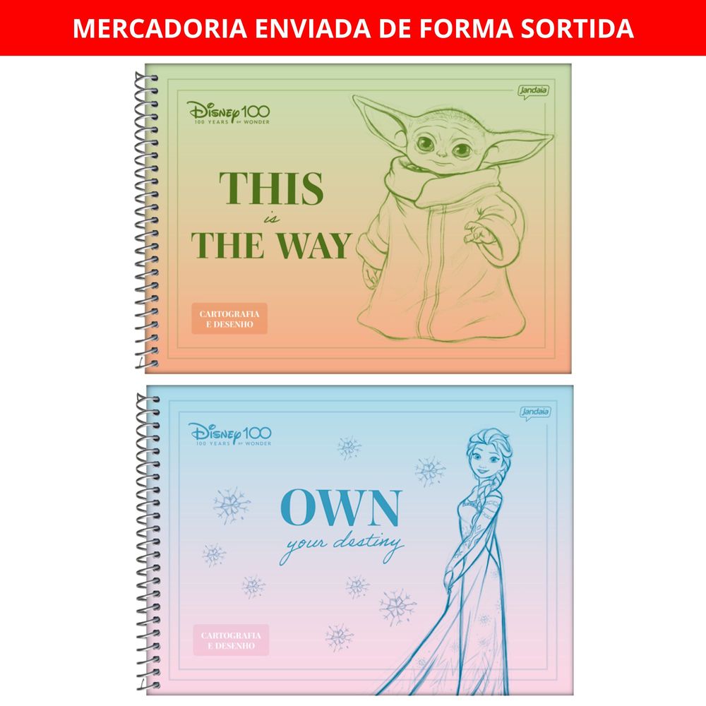 Planner disney 100 jandaia